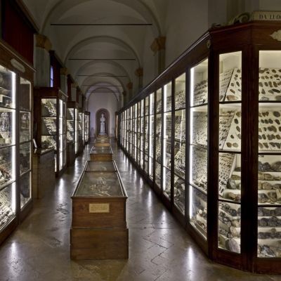 Panoramica Museo Chierici_foto Vannini_light