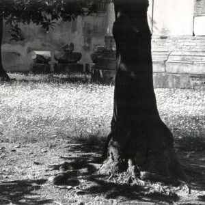 Stanislao Farri