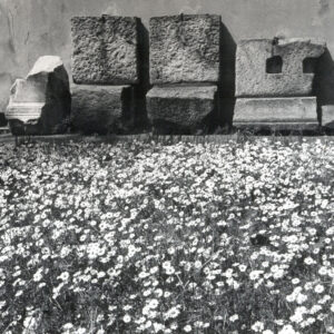 Stanislao Farri