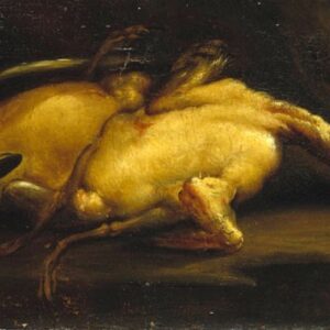 Come mangeremo - anitre spennate