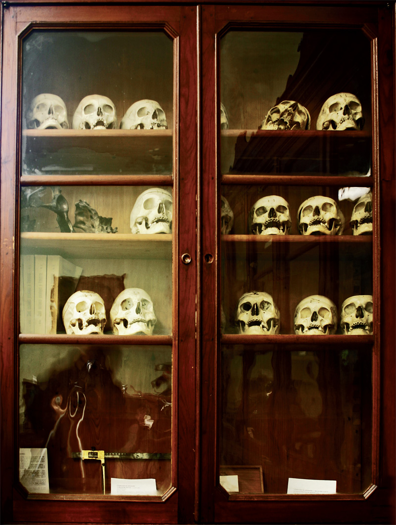 12 La storia del Museo