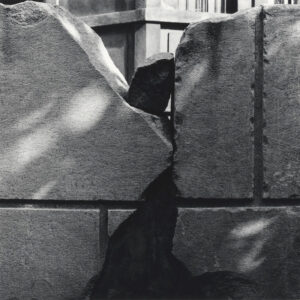 Marcello Grassi