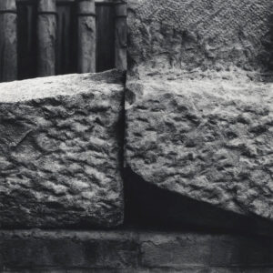 Marcello Grassi