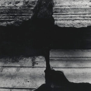 Marcello Grassi