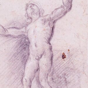 Alessandro Casolani - Studio di figura maschile nuda
