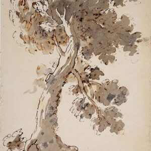 Ambito emiliano ( XVIII secolo) - Albero