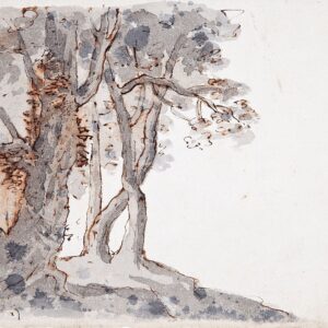 Ambito emiliano (XVIII secolo) - Gruppo di alberi