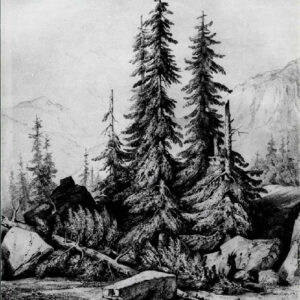 Antonio Fontanesi - Gruppo di alberi