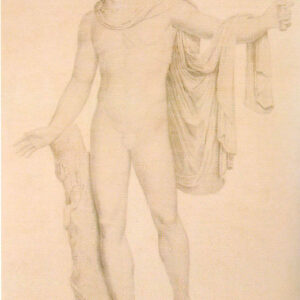 Carlo Raimondi - Copia dell'Apollo del Belvedere