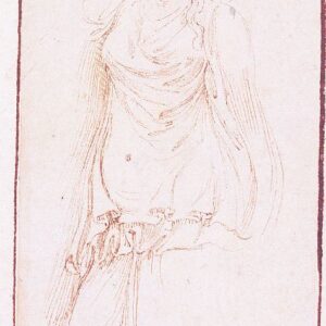 Girolamo da Carpi - Tre studi dall'antico (2)