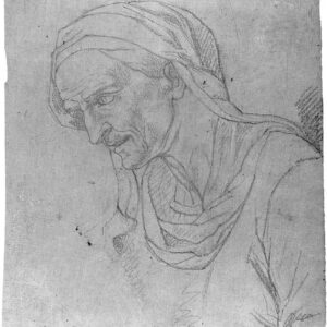 Prospero Minghetti - Studio di busto di vecchio