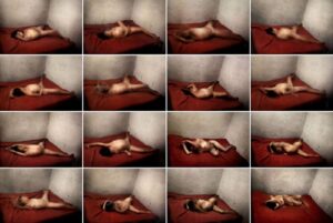 Foto dalla mostra SITUATIONS, Ex Ospedale Psichiatrico Giudiziario Reggio Emilia, 30 aprile – 8 giugno 2008